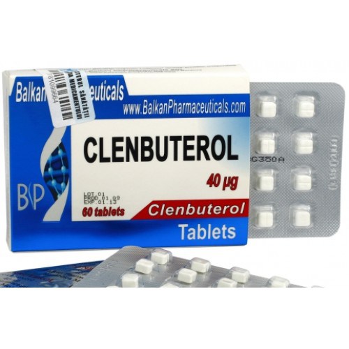 Quels sont les cycles de CLenbuterol les plus efficaces ?