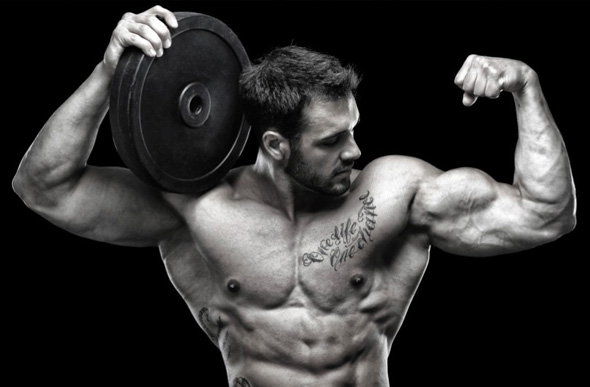 Bulking et force