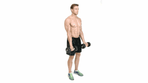 exercices haltères pour biceps