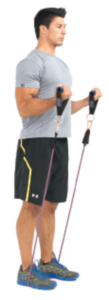 exercice pour biceps 