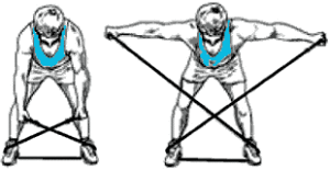 musculation du dos avec exercice avec élastique